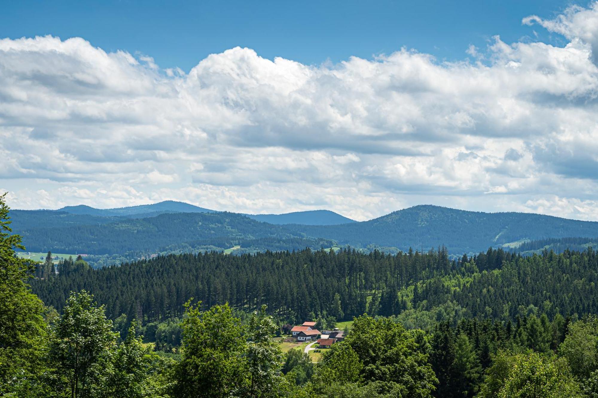 Robenstein Hotel & Spa - Villa Zwiesel Eksteriør bilde